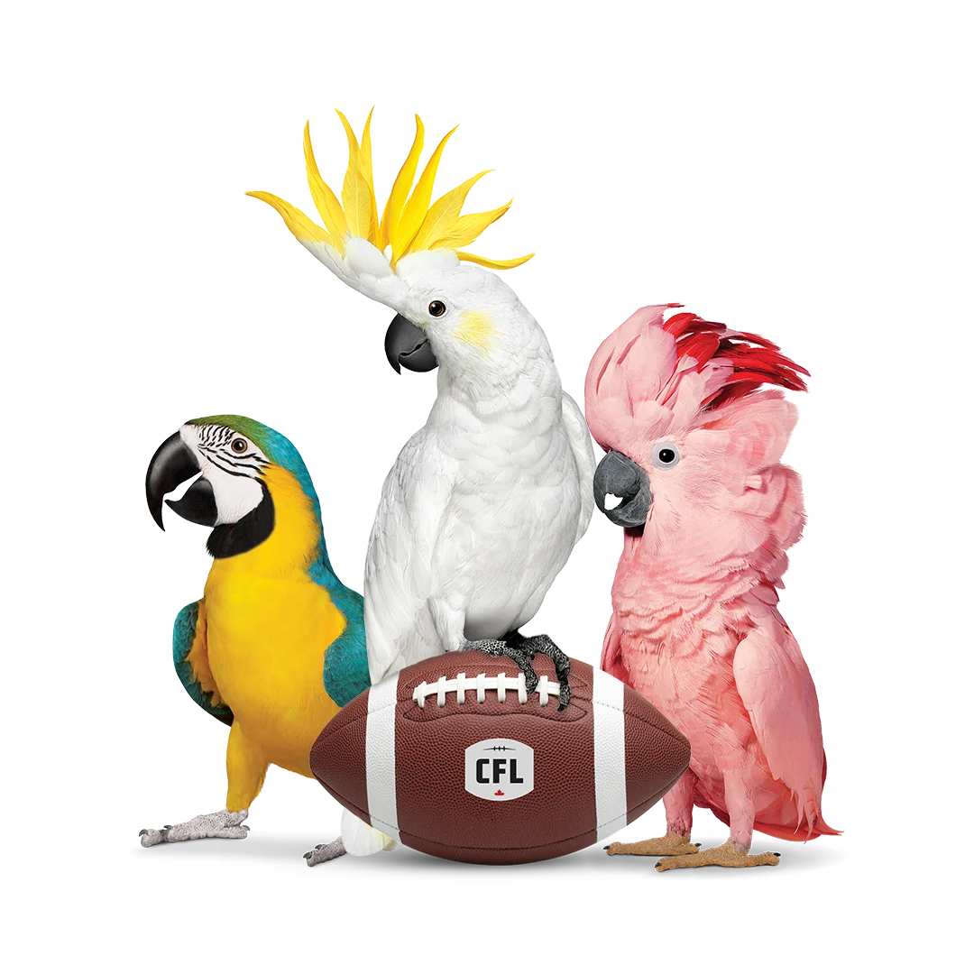 The ultimate 113th Grey Cup giveaway